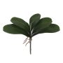 Folha de Orquidea Phalaenopsis com Arame x5 | Verde - 33cm