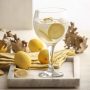 Conjunto 2 Taças para Gin Tônica em Cristal - Transparente 600ml