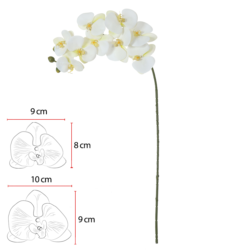 a59db9617e22ec3e80ecd911b5e4560d.jpg