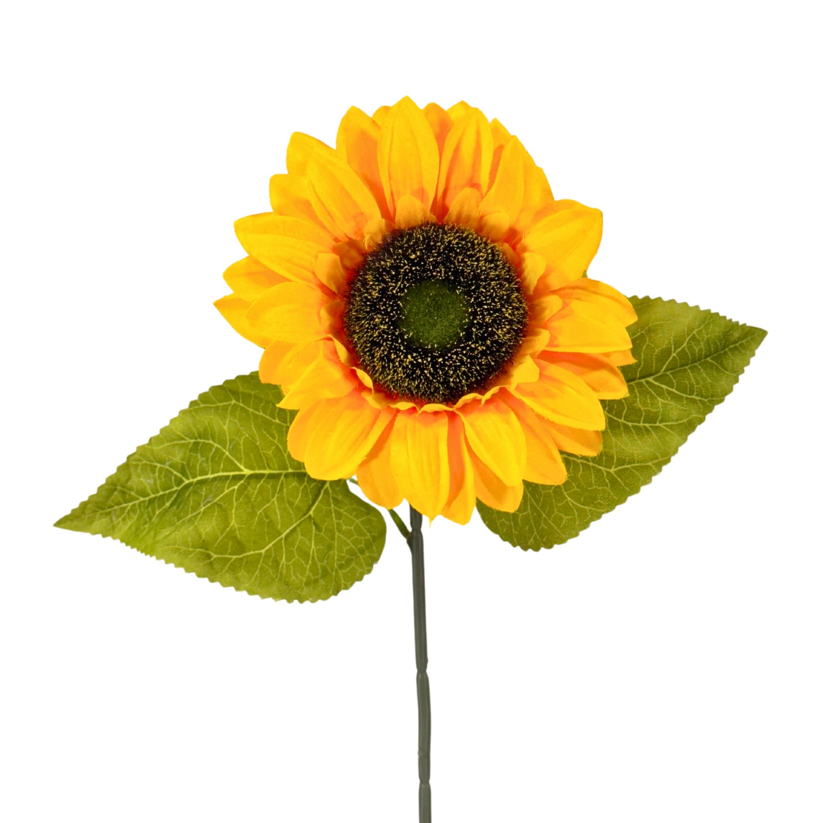 ab892a72e834aa0acd1ba03a361c6b55-1.jpg
