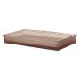 Bandeja em Vidro Raízes | Malva - 3x23x14cm