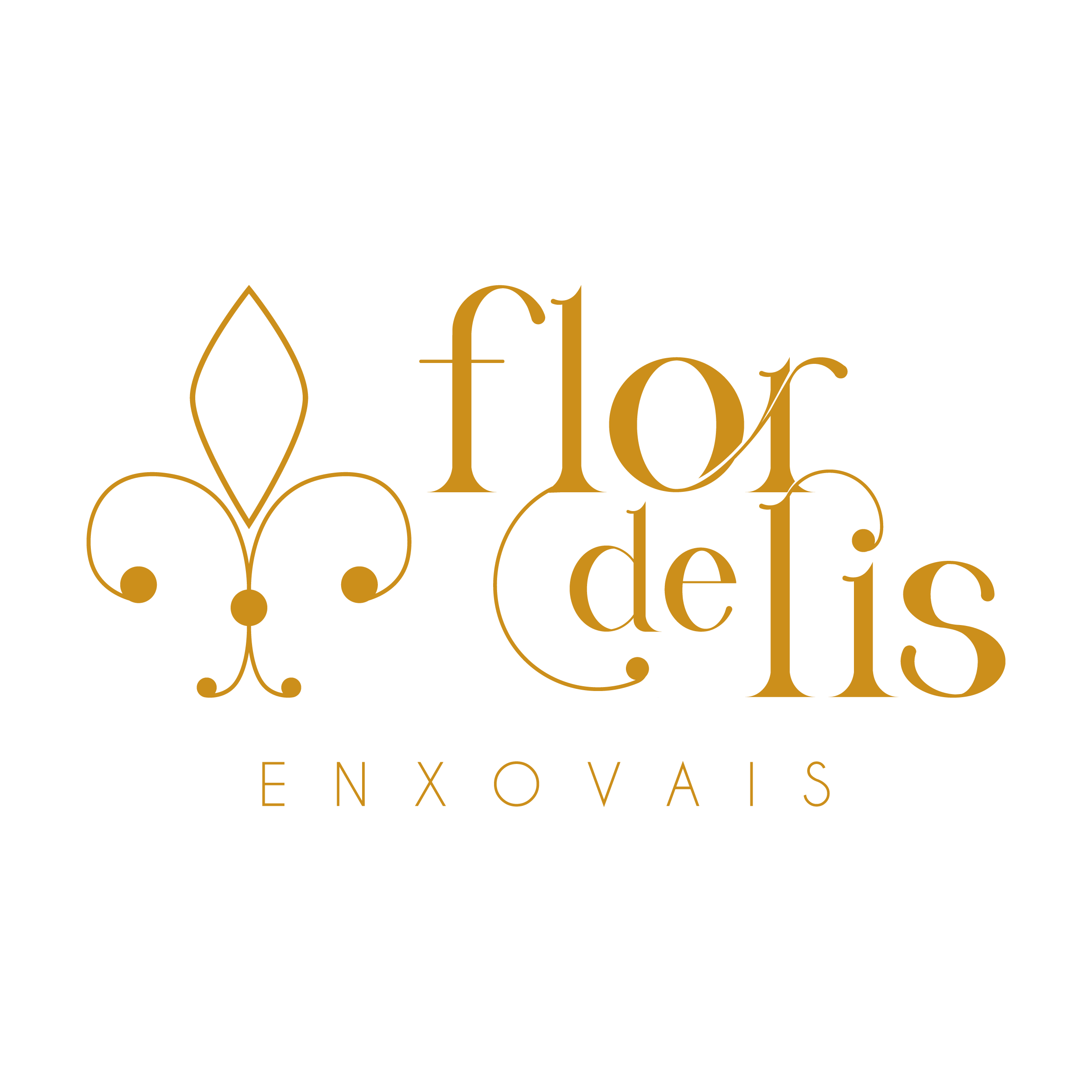 Flor de Lis Enxovais